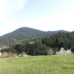 Stoletnika