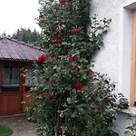 Gasthuis Stoletnika Yagodina