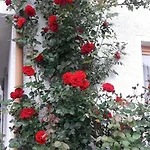 Stoletnika Yagodina
