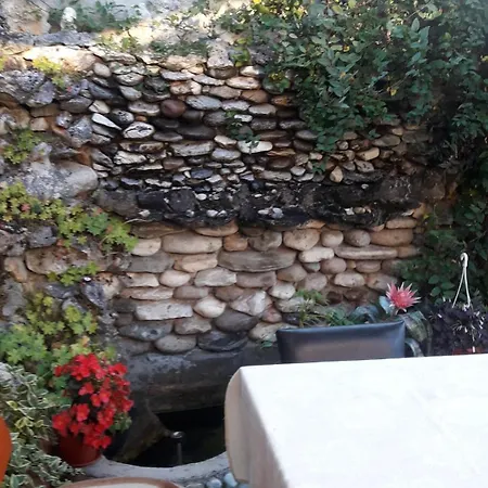Stoletnika בית הארחה יאגודינה