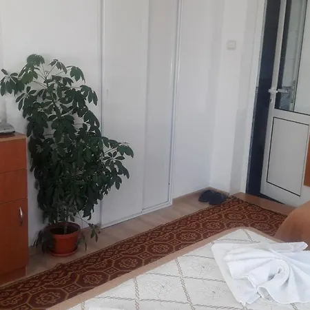 Stoletnika יאגודינה
