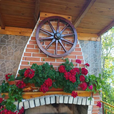 Stoletnika Jagodina