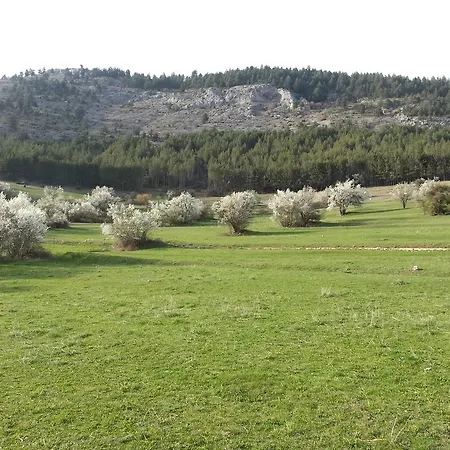 Penzion Stoletnika