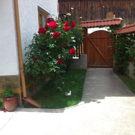 Penzion Stoletnika 3*