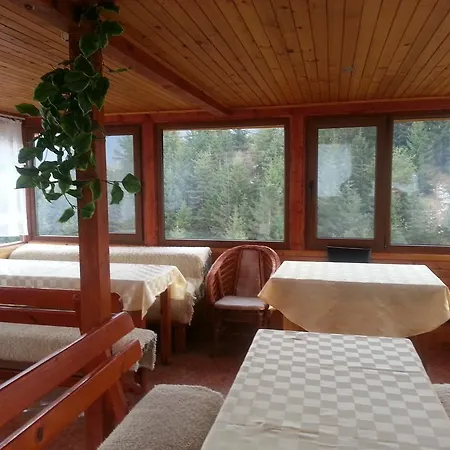 Stoletnika 3*