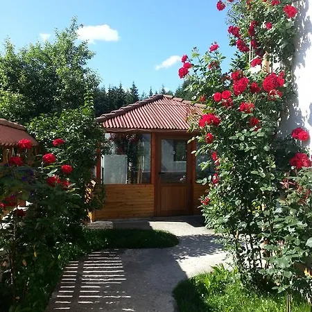 Stoletnika